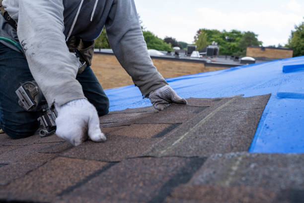 Best Chimney Flashing Repair  in Hertford, NC